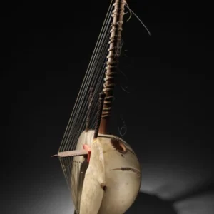 Home boncellensis secullant